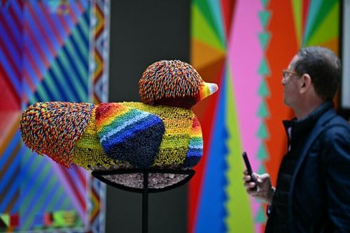 Biennale Arte 2024 - Bức tranh về mối quan hệ giữa con người và hành tinh