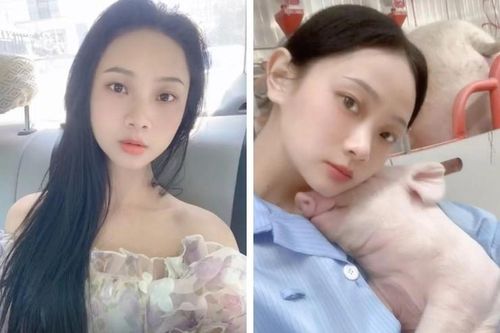 Tốt nghiệp khoa Văn học, cô gái bỏ phố về quê nuôi lợn