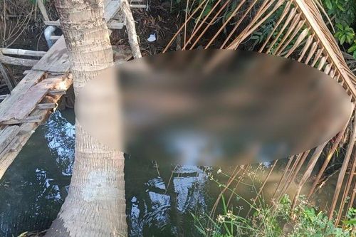 Long An: Điều tra nguyên nhân người đàn ông tử vong dưới mương nước