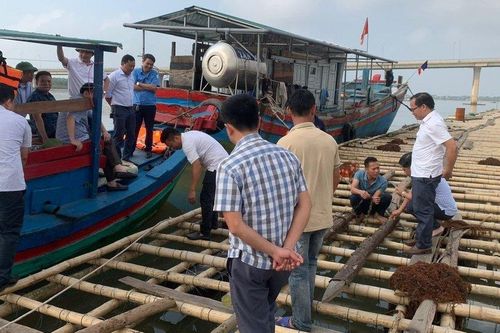 Vụ nuôi hàu trên sông Lam: Đề nghị chủ mô hình hoàn thiện các thủ tục