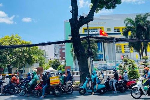 Người dân TP.HCM lưu luyến khi hơn 400 cây xanh phải đốn hạ để làm tuyến metro số 2