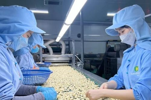 Gia tăng xuất khẩu sang thị trường Bắc Âu: Những quy định doanh nghiệp cần lưu ý