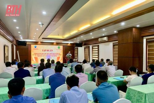 Phát triển kinh tế hợp tác, liên kết trong sản xuất và tiêu thụ sản phẩm nông nghiệp theo yêu cầu và tiêu chuẩn của thị trường