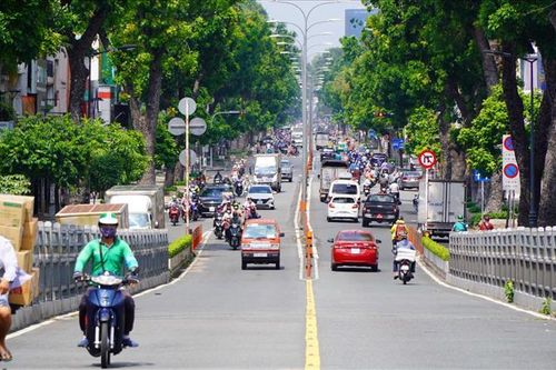TP.HCM sắp di dời, đốn hạ hơn 450 cây xanh để làm metro số 2