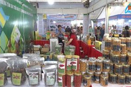 Cùng cả nước hội nhập và phát triển