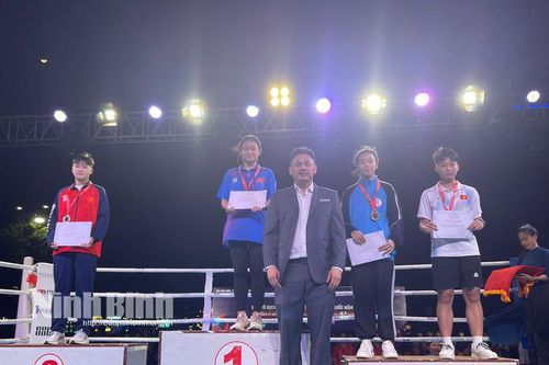 Ninh Bình giành 4 huy chương tại Giải vô địch Boxing các đội mạnh toàn quốc