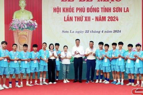 Môn bóng đá nam THCS và nữ THPT giai đoạn II, Hội khỏe Phù Đổng tỉnh