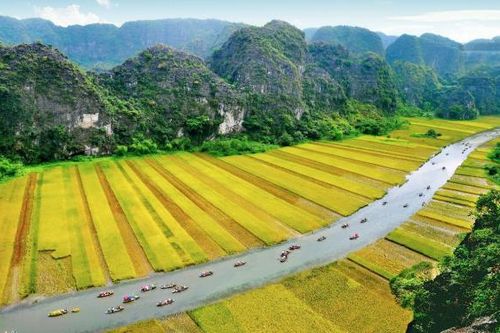 Quần thể Danh thắng Tràng An được quảng bá trên Google Arts & Culture