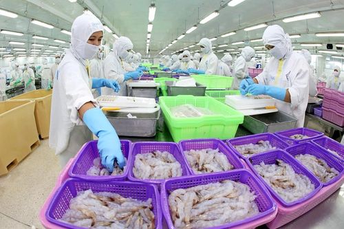 Thực phẩm Sao Ta (FMC): Xuất khẩu tôm hồi phục mạnh, lãi quý 1 tăng 14%