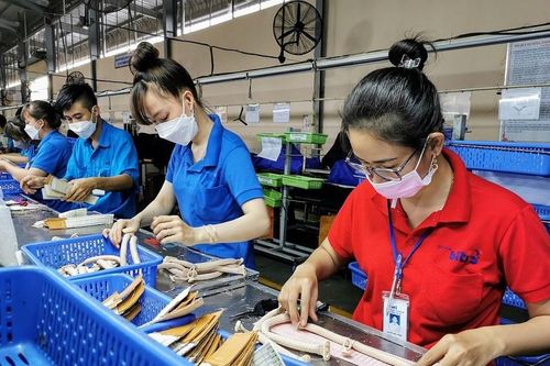 Doanh nghiệp kỳ vọng môi trường kinh doanh được cải thiện thực chất hơn