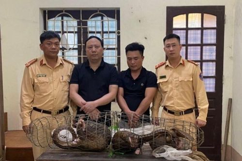 Nghệ An: Bắt liên tiếp các đối tượng vận chuyển trái phép động vật hoang dã