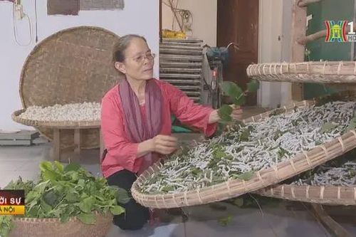 Nghệ nhân 'dạy tằm dệt lụa, bắt sen nhả tơ'