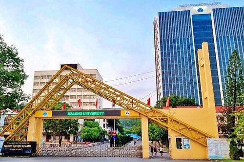 Thêm một trường đại học thành lập trường liên cấp tiểu học, trung học