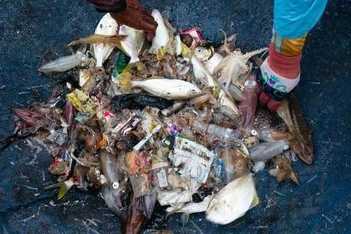 Cuộc chiến tái chế rác thải nhựa ở Indonesia