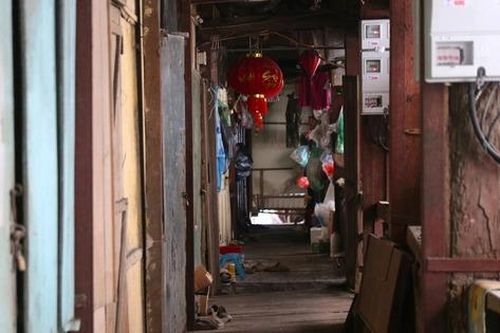 Cuộc sống của người dân bên trong khu tập thể bằng gỗ 70 tuổi 'chờ sập' ở Hà Nội