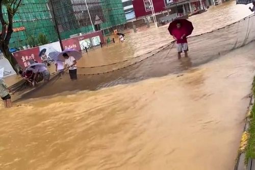 Người dân Trung Quốc thả lưới bắt cá trên đường phố