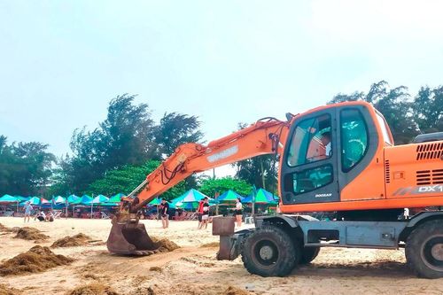 Hải Phòng: Hàng trăm tấn rong biển 'tấn công' bãi tắm Đồ Sơn