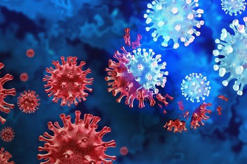 Giới khoa học cảnh báo virus gây đại dịch tiếp theo