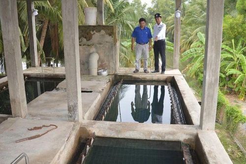 Phòng chống hạn, mặn cho cây trồng