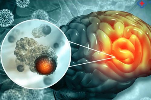 Tìm ra các chất sinh học có triển vọng điều trị ung thư