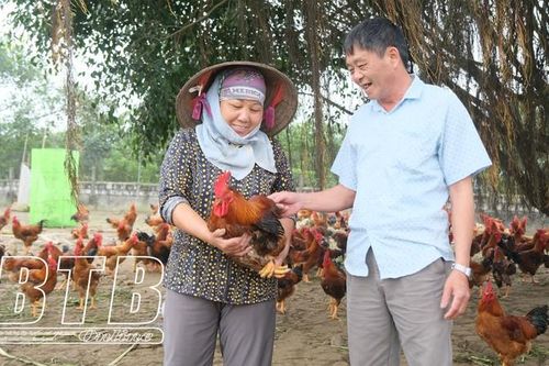 Đại gia Thái Bình mỗi người làm một cách mà đều thành công