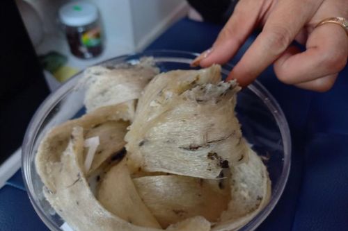Long An: Người dân xây nhà nuôi 'chim tiền tỷ'