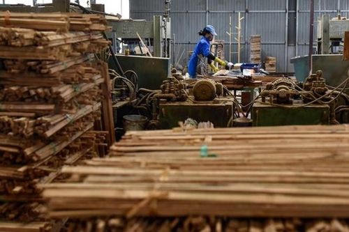 Thanh Hóa sắp có nhà máy sản xuất ván tre hơn 3 nghìn tỷ đồng