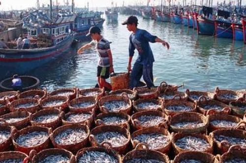 Quyết tâm gỡ 'thẻ vàng' thủy sản trong năm 2024