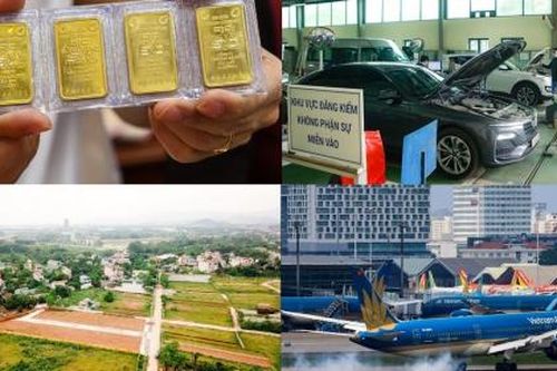 Nóng 18h: Giá vàng rơi thẳng đứng khi Ngân hàng Nhà nước chính thức đấu thầu vàng miếng