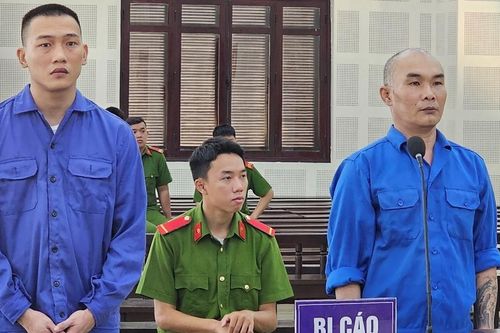 Bản án của 2 người đàn ông làm thuê cho 'trà xanh'