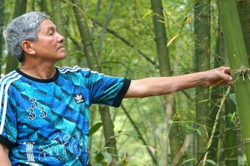 Một huyện miền núi được phê duyệt dự án nhà máy 3.200 tỷ đồng