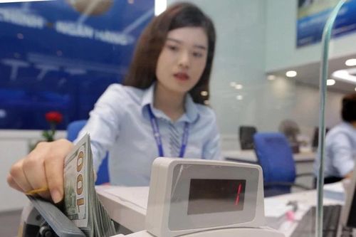 Thành phố Hồ Chí Minh ưu tiên hướng thu hút nguồn kiều hối đầu tư vào hạ tầng