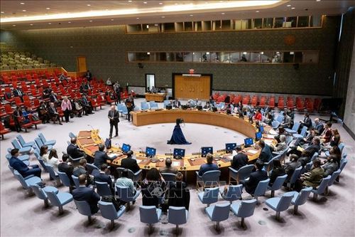 Đặc phái viên LHQ kêu gọi cải thiện an ninh tại Haiti để thúc đẩy tiến bộ chính trị