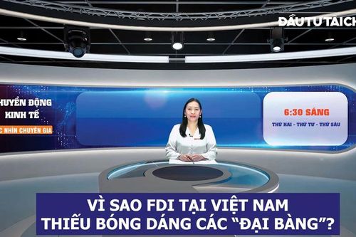 Thông tin chuyên sâu giữa tràn ngập thông tin