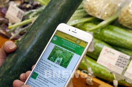 Giới trẻ và trào lưu QR code