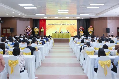 Thaiholdings đặt mục tiêu lợi nhuận 125 tỷ đồng, không chia cổ tức năm 2023 để sẵn sàng nguồn lực cho giai đoạn mới