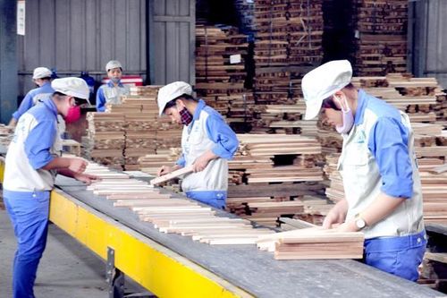 Thanh Hóa sắp có thêm nhà máy chế biến nông, lâm sản hơn 100 tỷ