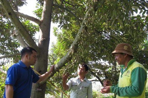 Khánh Sơn: Người dân thay đổi nhận thức để thoát nghèo