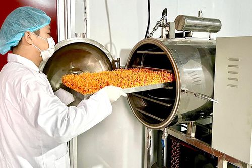 Hỗ trợ phát triển sản phẩm OCOP