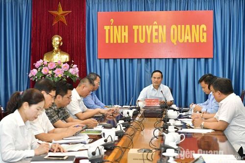 Đề xuất đưa một số hoạt động thể thao, giải trí, xe điện vào phục vụ du lịch tại khu vực xã Tân Trào