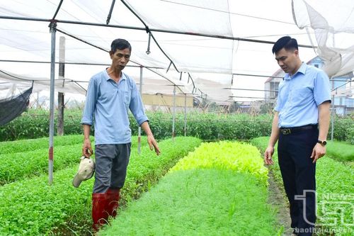 Tiếp sức để nông dân vượt khó