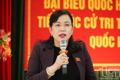 Đoàn đại biểu Quốc hội tỉnh Thái Nguyên tiếp xúc cử tri các địa phương