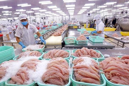 Thủy sản Vĩnh Hoàn (VHC): Xuất khẩu cá tra khởi sắc, doanh thu quý 1 tăng 25%