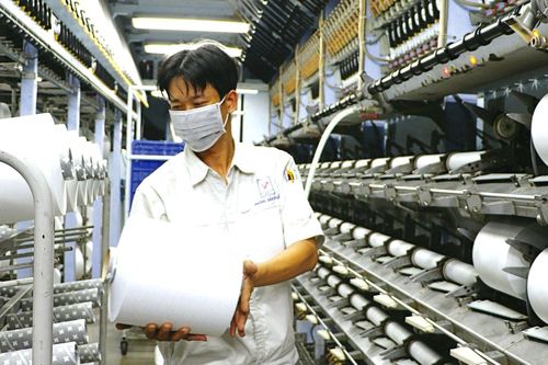 Sợi Thế Kỷ (STK): Biến động tỷ giá 'ăn mòn' lợi nhuận quý 1/2024