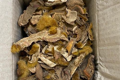 Quảng Ninh: Bắt giữ 21 tấn dược liệu không rõ nguồn gốc, xuất xứ