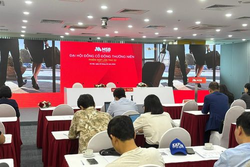 ĐHĐCĐ MSB: Trình kế hoạch lợi nhuận đạt 6.800 tỷ đồng