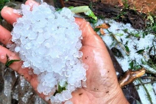 Chủ động phòng tránh, giảm thiểu thiệt hại do mưa giông, lốc và mưa đá