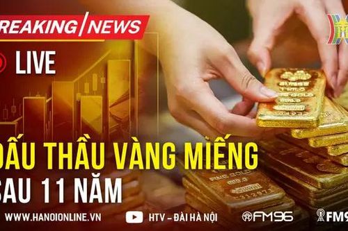 Ngân hàng Nhà nước đấu thầu vàng miếng sau 11 năm