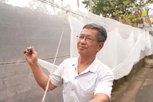 Về Hòa Xá xem nghề dệt màn thủ công