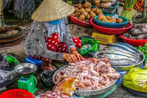 Nhiều khó khăn trong kiểm dịch động vật